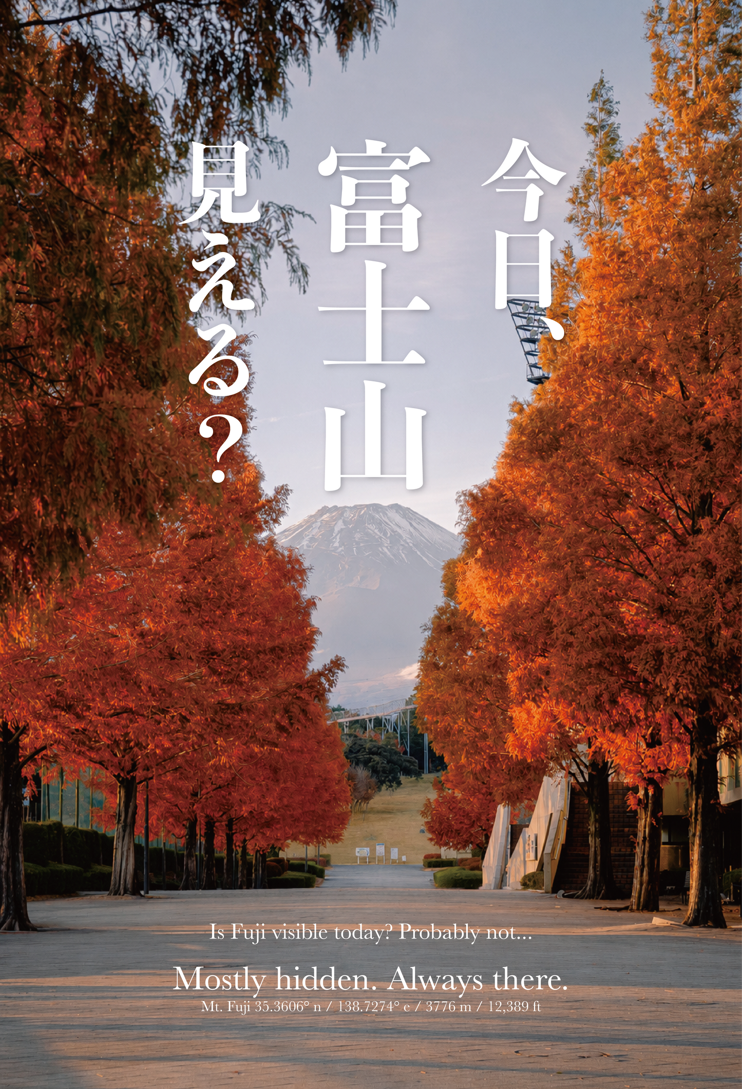 Is Fuji Visible Today? Tee — "Yes" (Avenue)