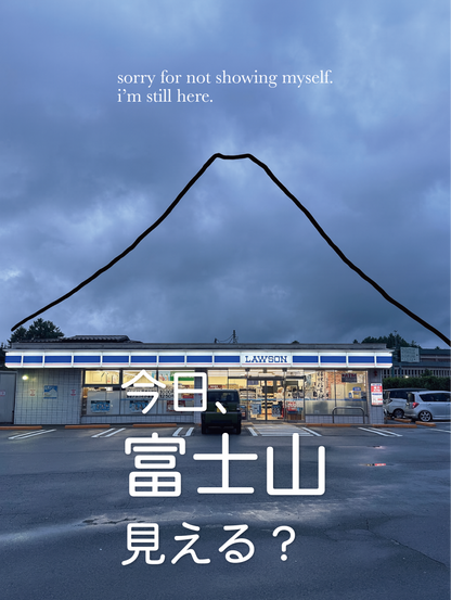 Is Fuji Visible Today? Tee — "Probably Not" (Power Lines)